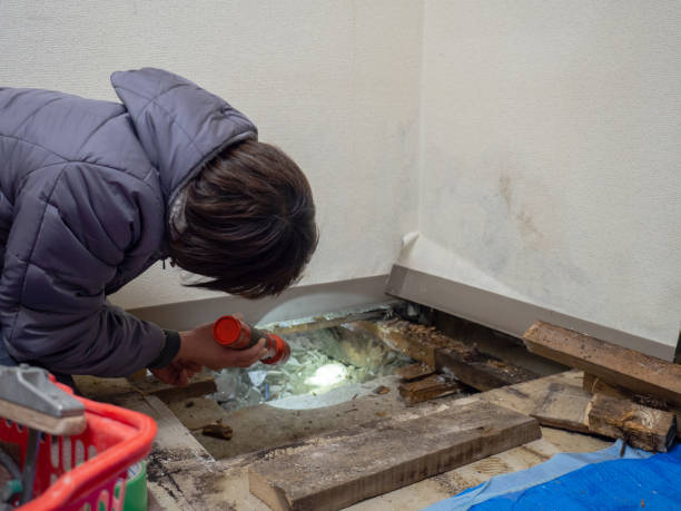 Mold Documentation for Insurance Claims in Sabina, OH