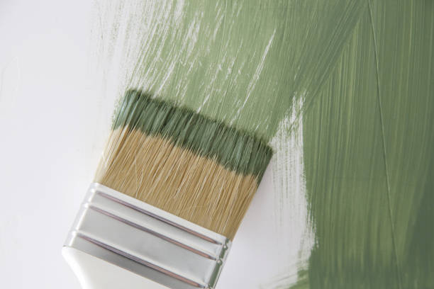 Best Mold Documentation for Insurance Claims  in Sabina, OH