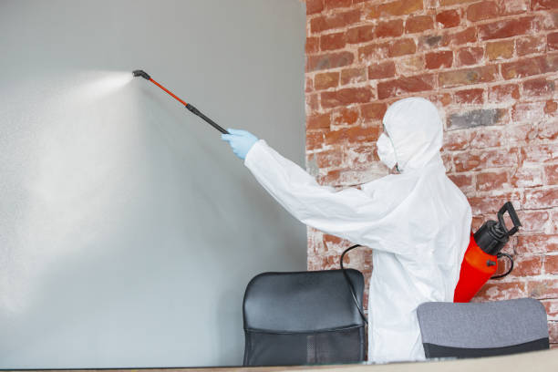 Best HVAC Mold Inspection and Cleaning  in Sabina, OH