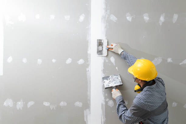 Sabina, OH Mold Removal Company